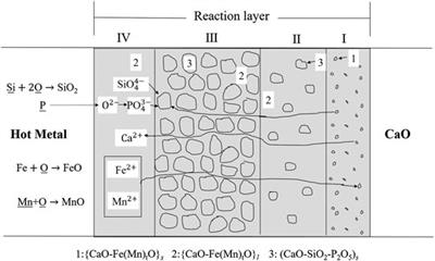 A Review of Multi-phase Slag Refining for Dephosphorization in the Steelmaking Process